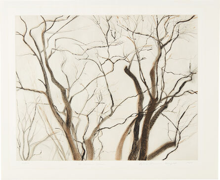 Sylvia Plimack Mangold, ‘The Locust Trees (state II)’, 1988