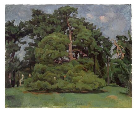Wilbur Niewald, ‘Pine Trees in Loose Park XVII’, 2013