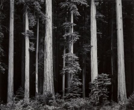 Ansel Adams, ‘Portfolio Four: What Majestic Word, In Memory of Russell Varian (complete portfolio with 15 photographs)’