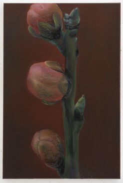 Ina van Zyl, ‘Darling Buds’, 2015