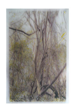 Zhang Liaoyuan 张辽源, ‘Raise the Printer Nozzle by 1cm 把喷头抬高1厘米’, 2017