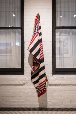 Show The Flag, installation view