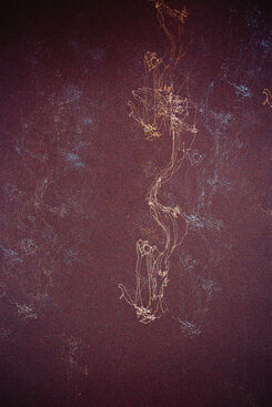 Bignia Wehrli, ‘Star Writing (7.8.2012, 10 km)’, 2014