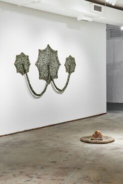 Ernesto Neto: One Day We Were All Fish and The Earth's Belly, installation view