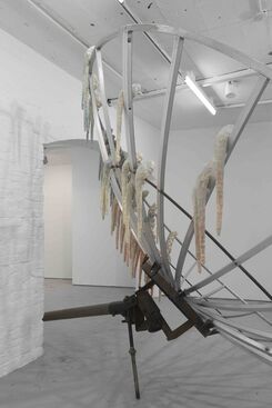 Kathleen Ryan, installation view