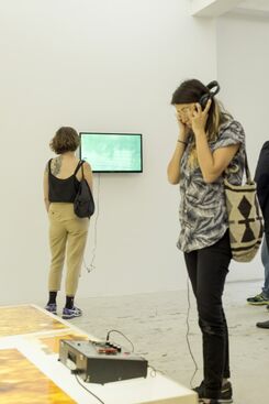 Lawrence Abu Hamdan, ‘Conversations with an Unemployed’, 2013