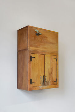 Samuel Alexander Forest, ‘Darcey’s cupboard’, 2023