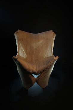 Maxima Duda, ‘Miss Delta Amacuro Chair’, 2006