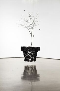 Bahk Seon Ghi, ‘ Installation 화분’