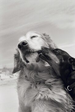 Priscilla Rattazzi, ‘The Kiss, East Hampton’, 2009