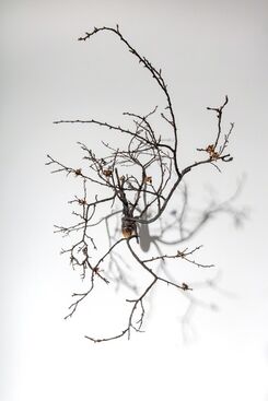 Javier Pérez, ‘Brotes II’, 2017