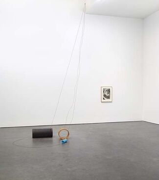 Al Taylor: Pet Stains, Puddles, and Full Gospel Neckless, installation view