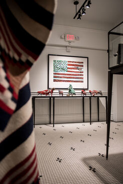 Show The Flag, installation view