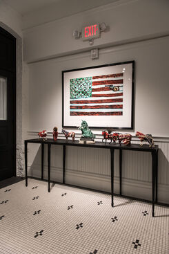 Show The Flag, installation view