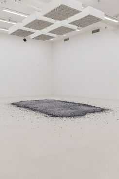 The Ashes of Snow, installation view