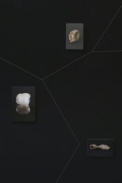 Giorgio Di Noto / Sara Palmieri, installation view