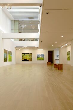Journeys to Recover Your Future – HSU Chang-Yu Solo Exhibition, installation view