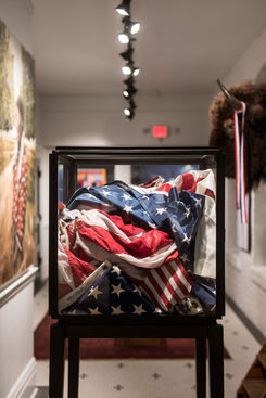 Show The Flag, installation view