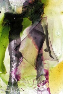 Julia Colavita, ‘Slide 61/80 (Legs)’, 2013