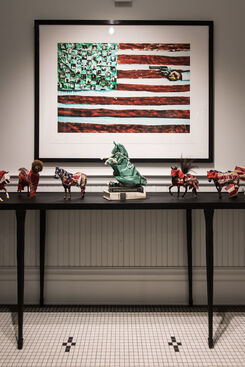 Show The Flag, installation view