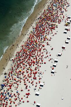 Custodio Coimbra, ‘Jujubra vertical’