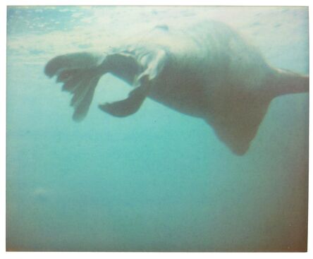 Stefanie Schneider, ‘Dugong I - Contemporary, Abstract, Coney Island, Polaroid, photograph’, 2006