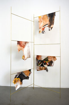 Clement Valla, ‘Wood Duck Suit’, 2019