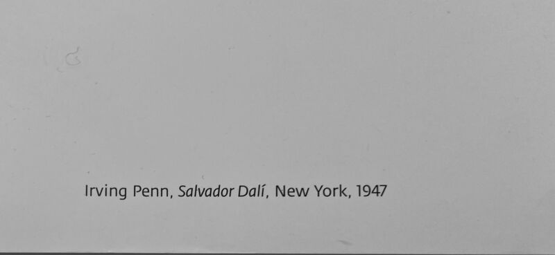 Salvador Dalí, ‘Rare Salvador Dali- Irving Penn High Quality Black and White Portrait Photographic Museum Exhibition Poster  ’, 2016, Ephemera or Merchandise, High Quality Black and White Portrait Photographic Museum Exhibition Poster, David Lawrence Gallery
