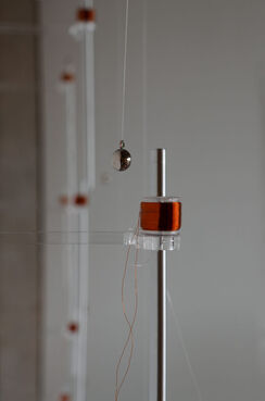 Alba Triana, ‘Delirious fields’, 2019