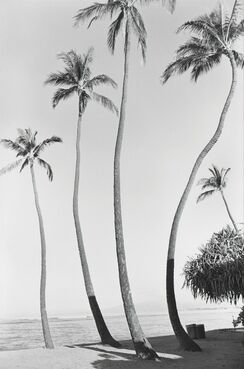 Henry Wessel, ‘Waikiki No.1’, 1979