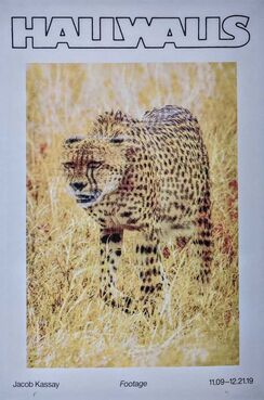 Jacob Kassay, ‘Footage’, 2019