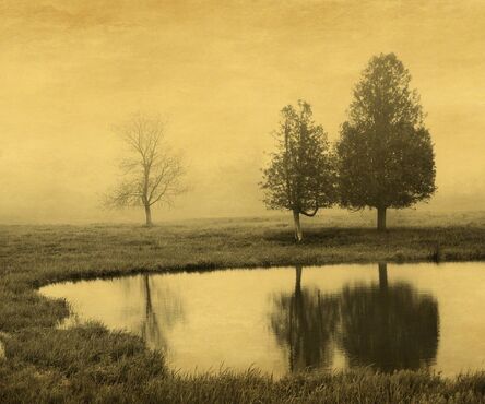 Joyce Tenneson, ‘Trees and Reflection’, 2013