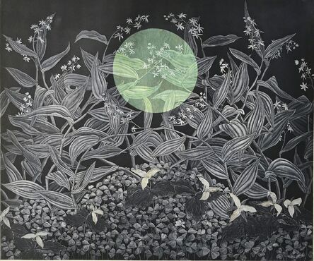 Julia Lucey, ‘Redwood Sorrel, Trillium and Starry False Solomon's Seal’, 2016