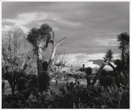 Paul Strand, ‘Near Saltillo, Mexico’, 1933