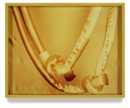 Elad Lassry, ‘Silk Rope’, 2010
