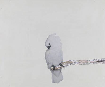 Frances Stark, ‘Portrait of the Artist as Full-on Bird’, 2004