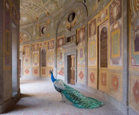Karen Knorr, ‘Heaven’s Vault, Villa Farnese, Caprarola (Metamorphoses)’, 2014