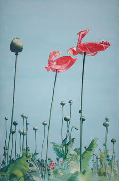 Johanna Kandl, ‘Mohn’, 2020