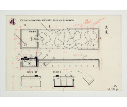 Luis F. Benedit, ‘Prototipo "Hábitat-Laberinto para cucarachas"’, 1972