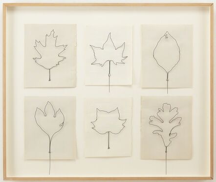 Eric Rhein, ‘Fly Leaves-Gathering of 6 (#8) (from Leaves an AIDS memorial)’, 2004