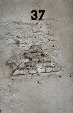 Melissa Wanamaker, ‘Wall of Execution, Terezin Concentration Camp, CZ.’, 1993