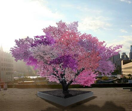 Sam Van Aken, ‘Tree of 40 Fruit’, 2008-2014