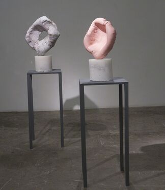 Christopher Astley and Saira McLaren, installation view