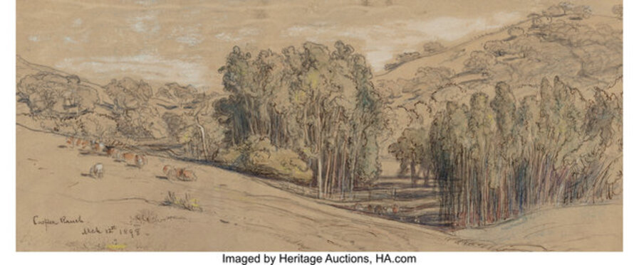 Eucalyptus Groves on the Cooper Ranch, Santa Barbara, and Cypress Trees, Cypress Point (two works)