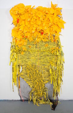 Borinquen Gallo, ‘Field Guide to Narcissism ’, 2013