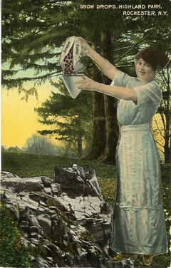 John Ashbery, ‘Grape Nuts’, 1972