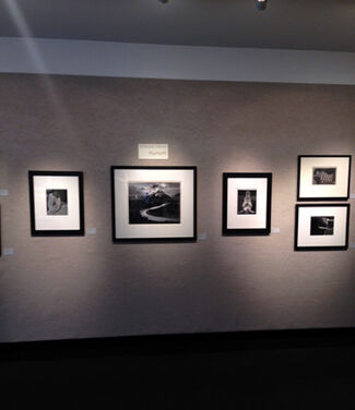 Collection Highlights ~ 40th Anniversary Exhibition, installation view