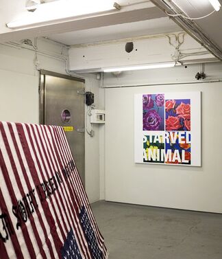 Busted On The Hot Spots, installation view