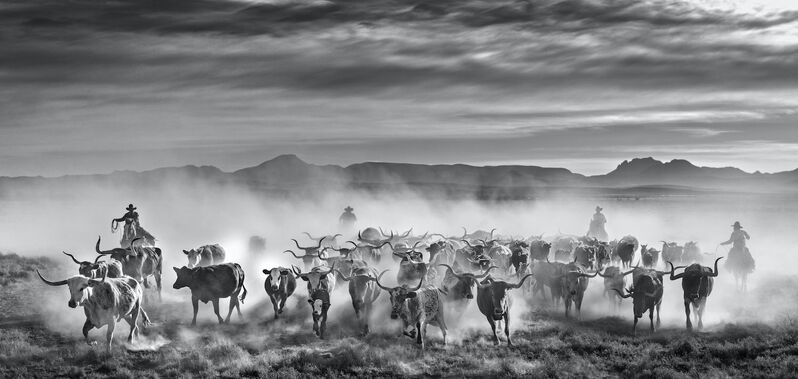 David Yarrow, ‘The Thundering Herd’, 2021, Photography, Archival Pigment Print, Petra Gut Contemporary
