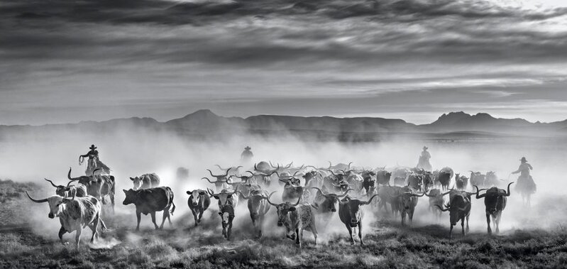 David Yarrow, ‘The Thundering Herd’, 2021 , Photography, Digital Pigment Print on Archival 315gsm Hahnemuhle Photo Rag Baryta Paper, Samuel Owen Gallery